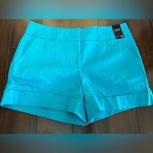 Women’s Turquoise Blue Shorts Size 10